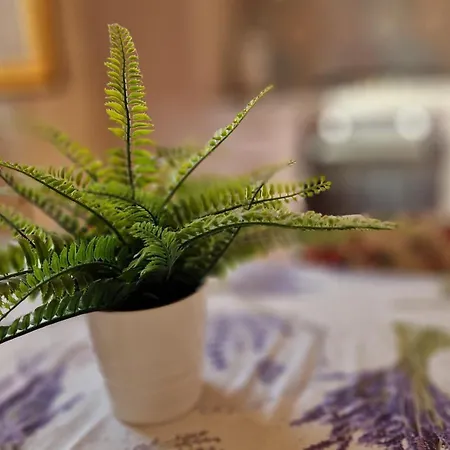 Tevere Vakantiehuis *