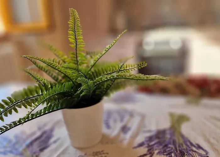 Tevere بيت للعطل *