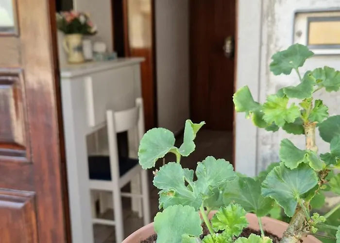 بيت للعطل Tevere